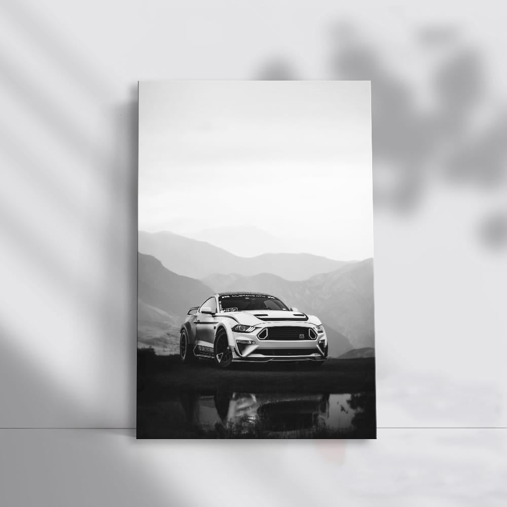 Black & White Mustang - Classic American Muscle