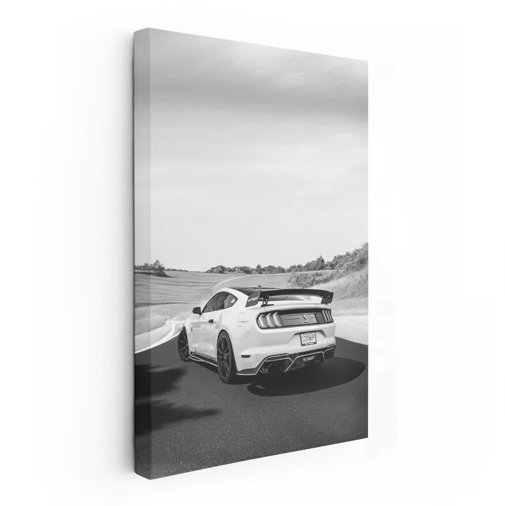 Vintage Black and White Mustang - Bold and Timeless