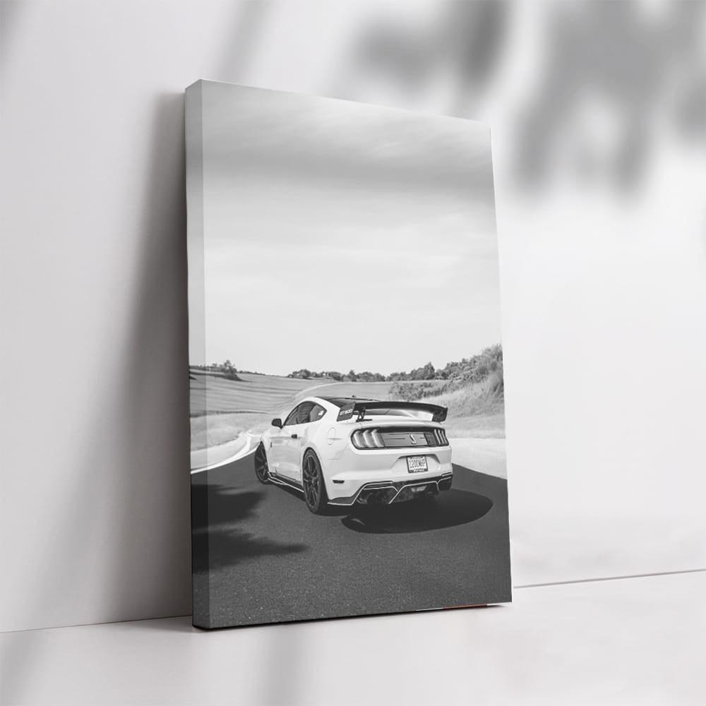 Vintage Black and White Mustang - Bold and Timeless