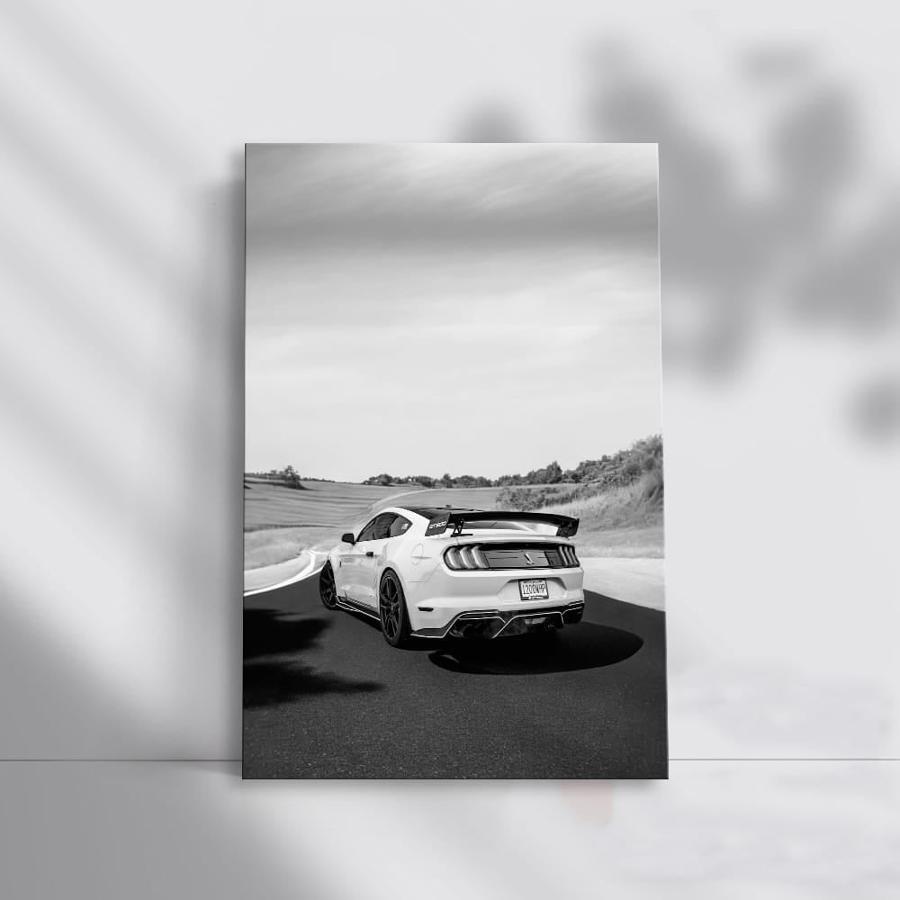 Vintage Black and White Mustang - Bold and Timeless
