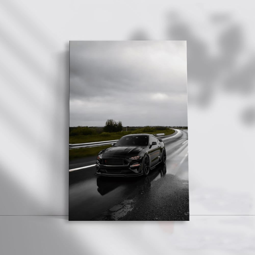 Mustang Cruising Highway - Power and Style