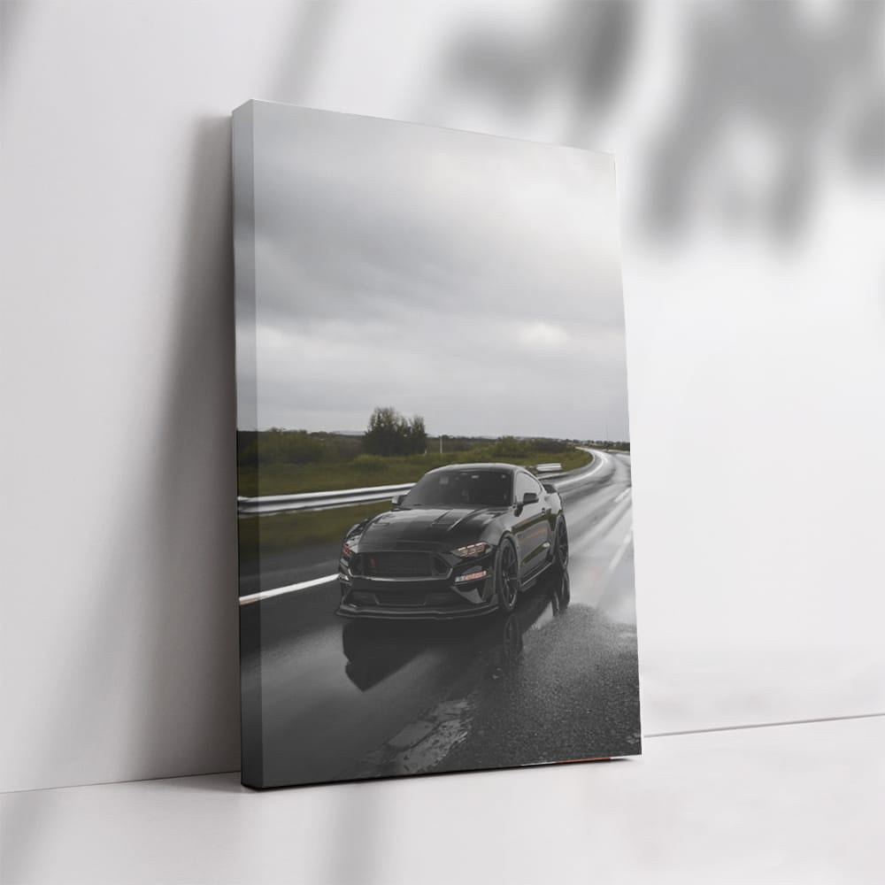 Mustang Cruising Highway - Power and Style