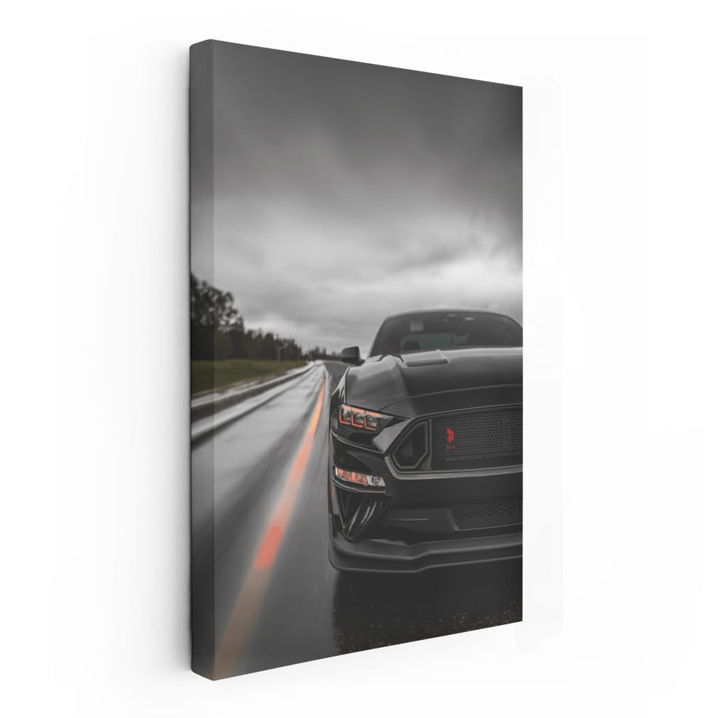 Mustang Cruising Highway - Speed Meets Freedom