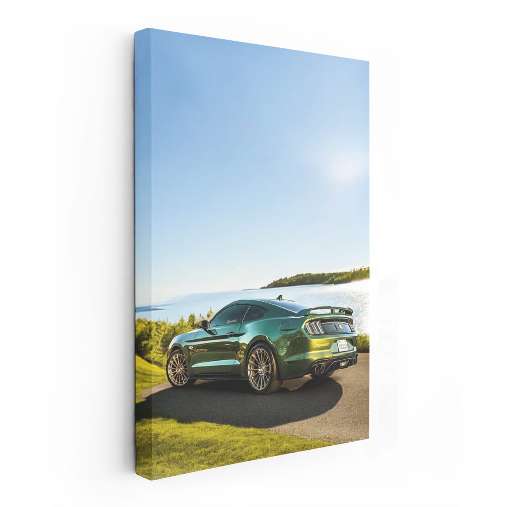 Mustang in Verdant Landscape - Power and Elegance