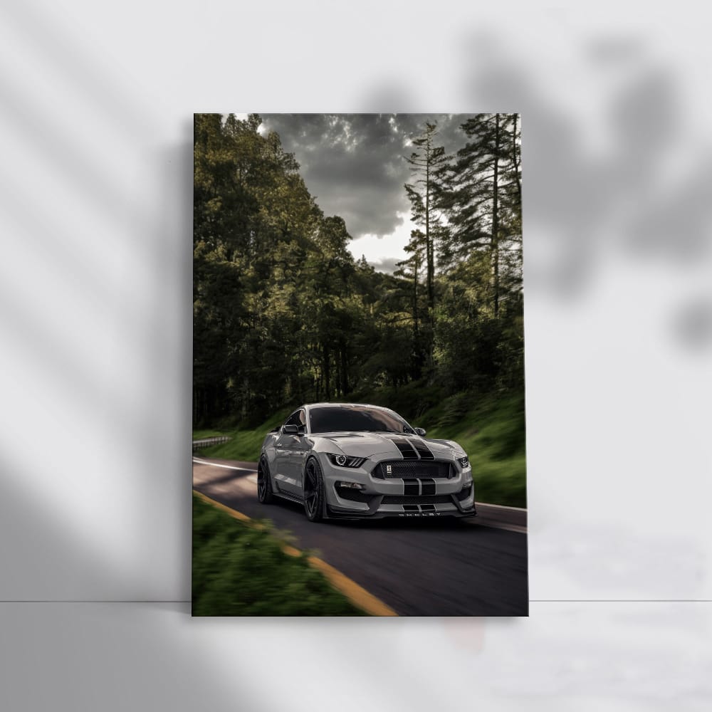 Grey Mustang Roaming Woods - Wild and Powerful