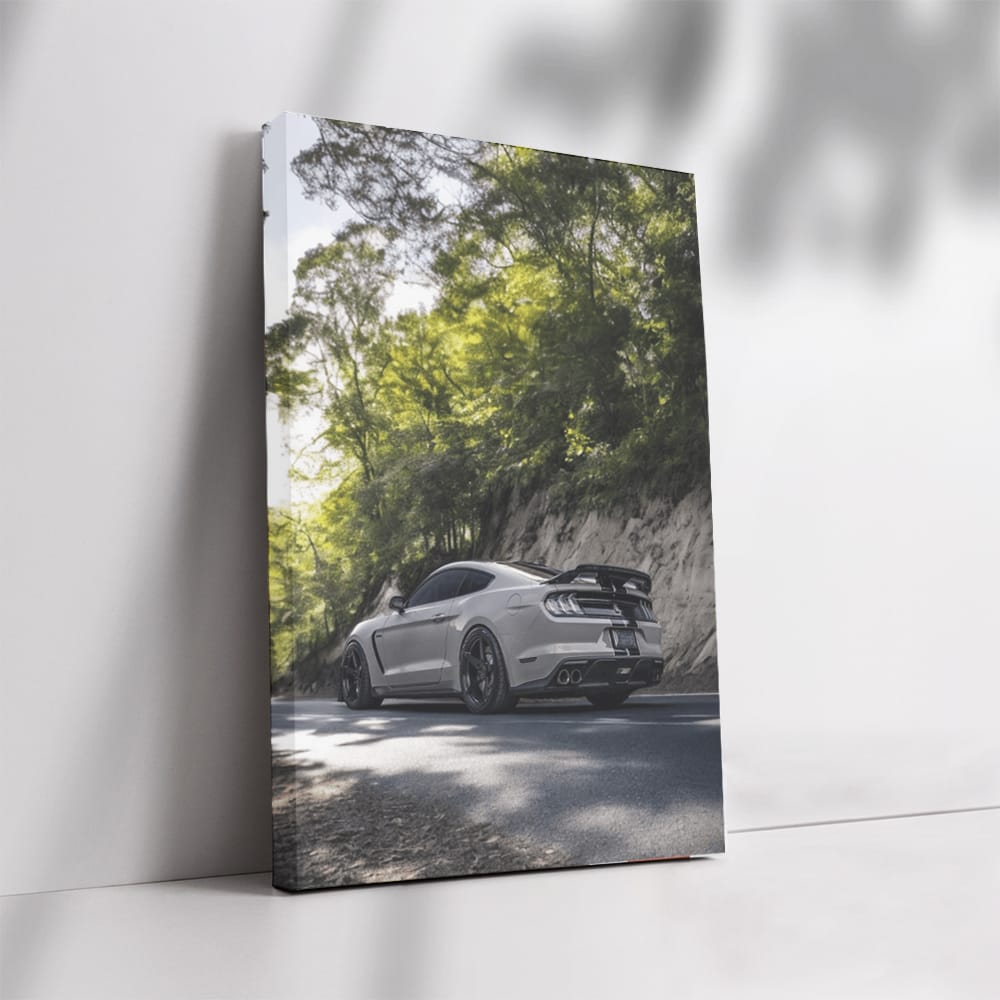 Grey Mustang Roaming Forest - Wild and Free