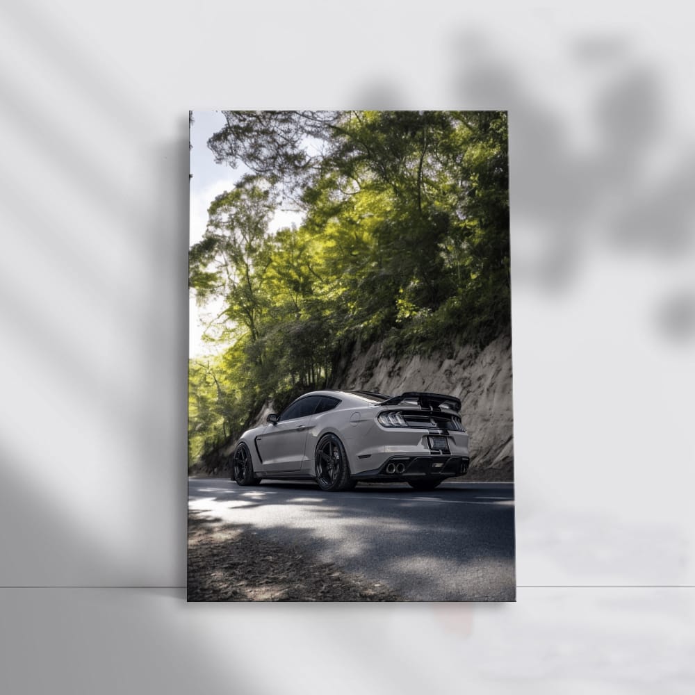 Grey Mustang Roaming Forest - Wild and Free