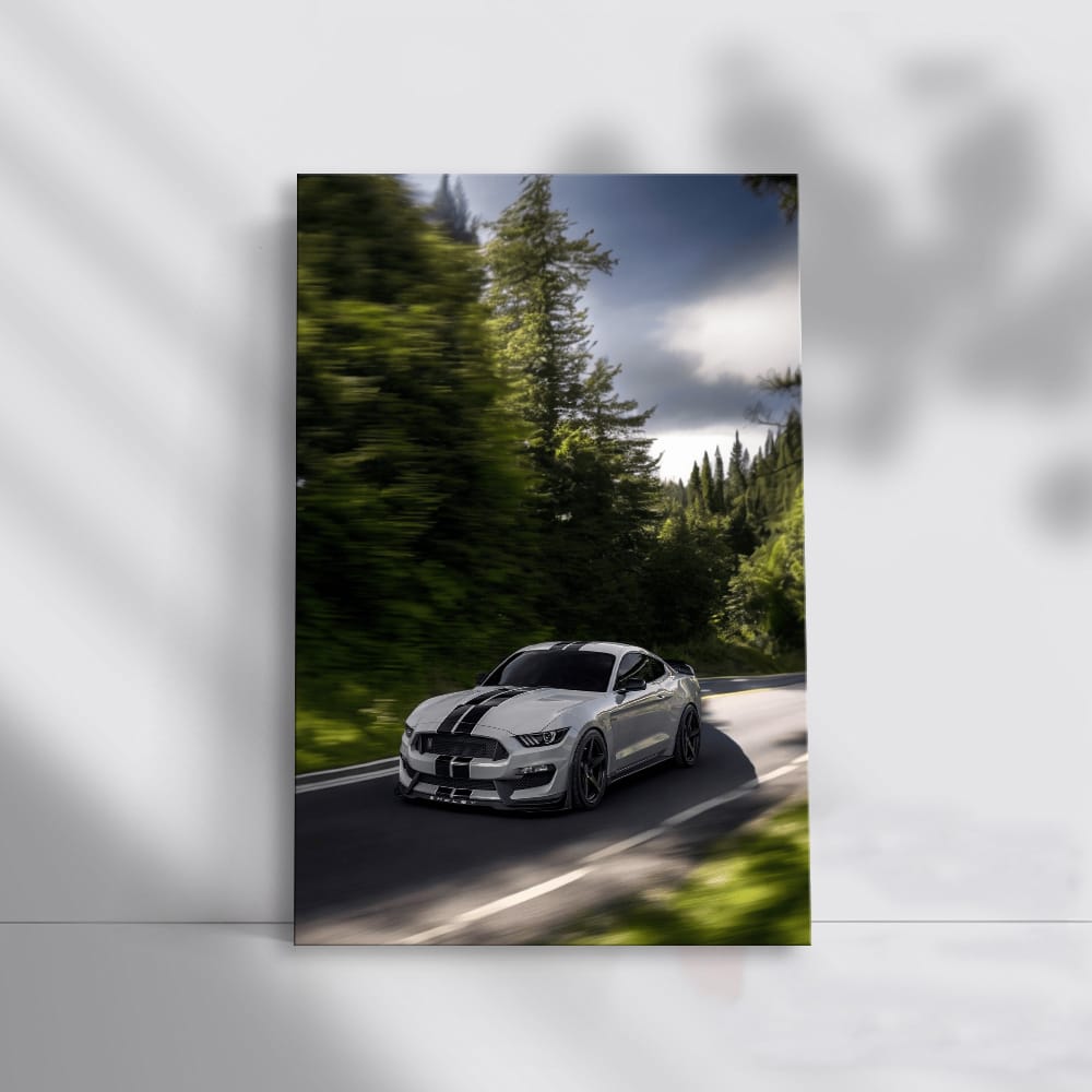 Grey Mustang Roaming Forest - Blend of Power and Grace