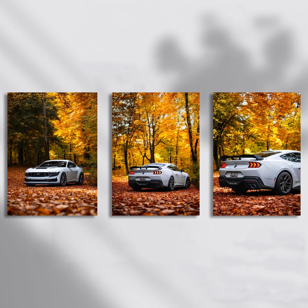 Mustang In The Autumn Forest Set of 3