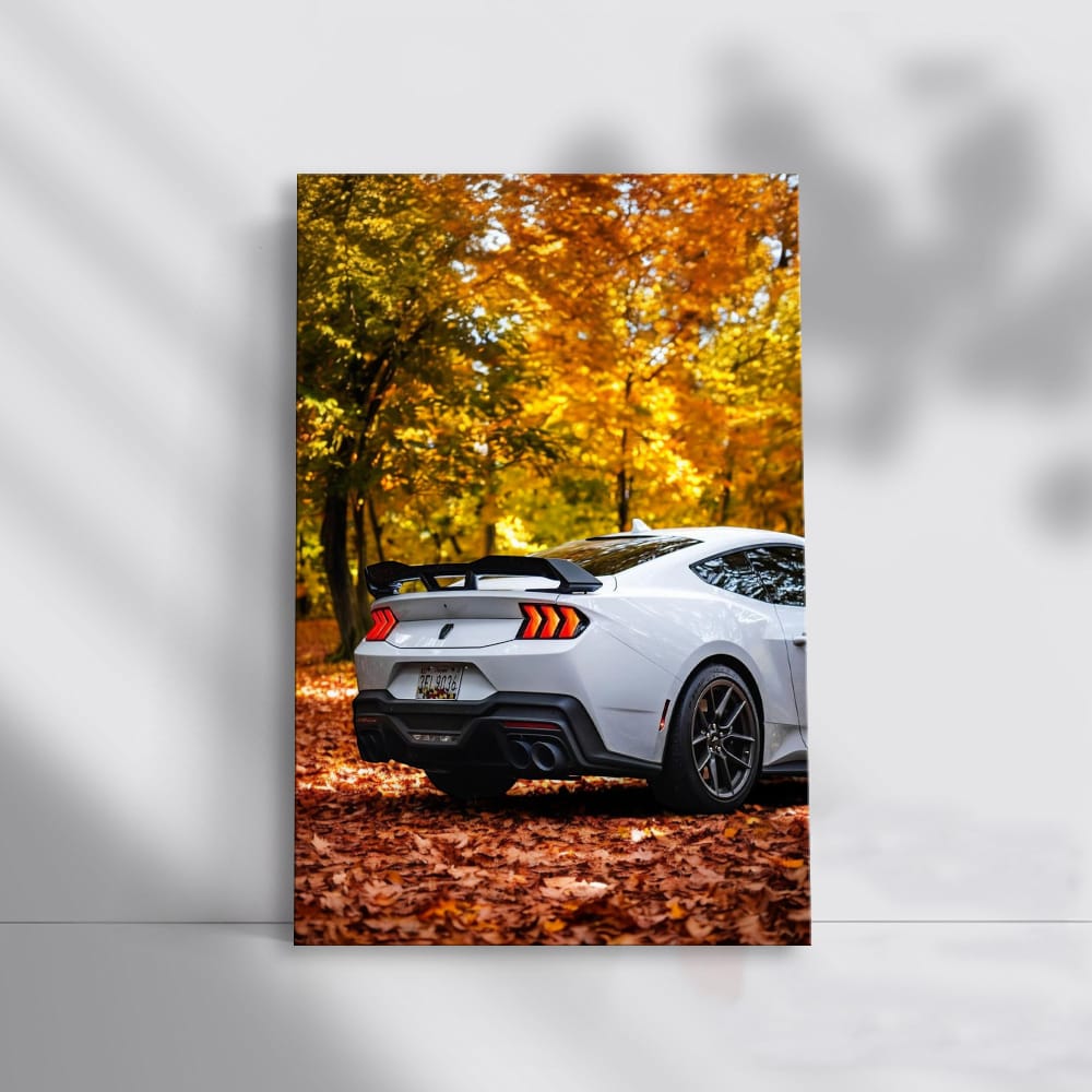 Mustang Roaming Through Autumn Woods - Wild and Free