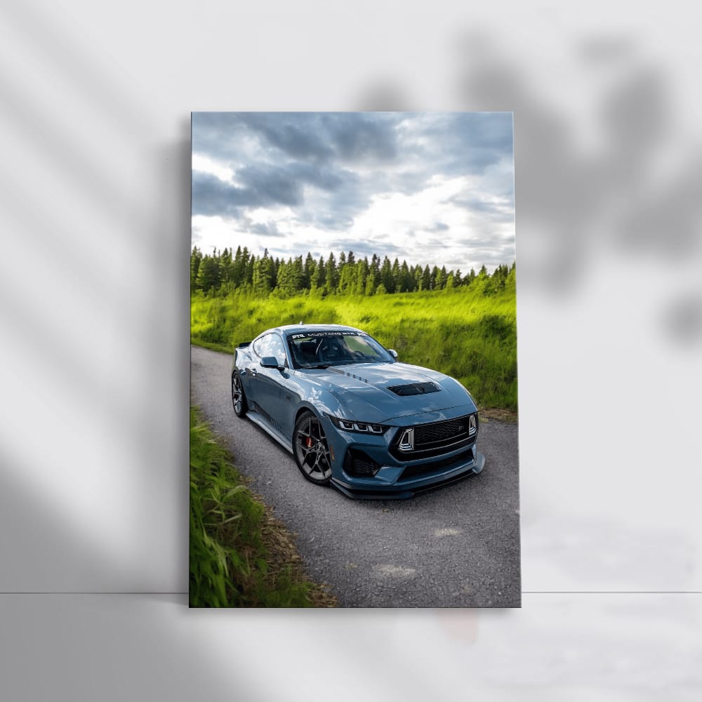 Mustang in Wild - Power, Freedom, and Adventure