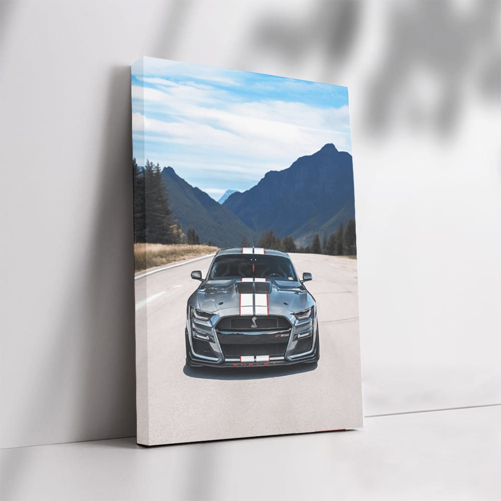 Mustang S550 Conquers Mountain Roads - Pure Power and Freedom