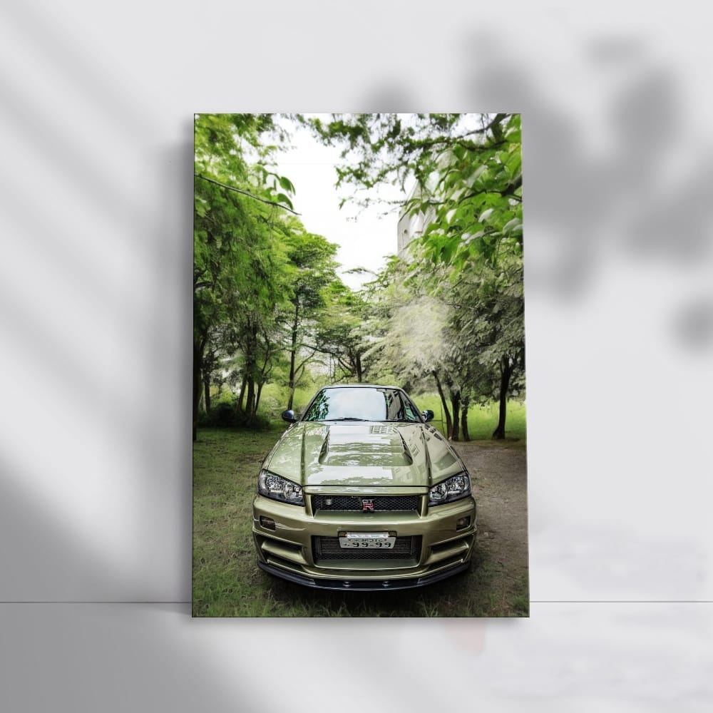 Nissan Skyline GT-R R34 in Nature - Iconic Performance Beast