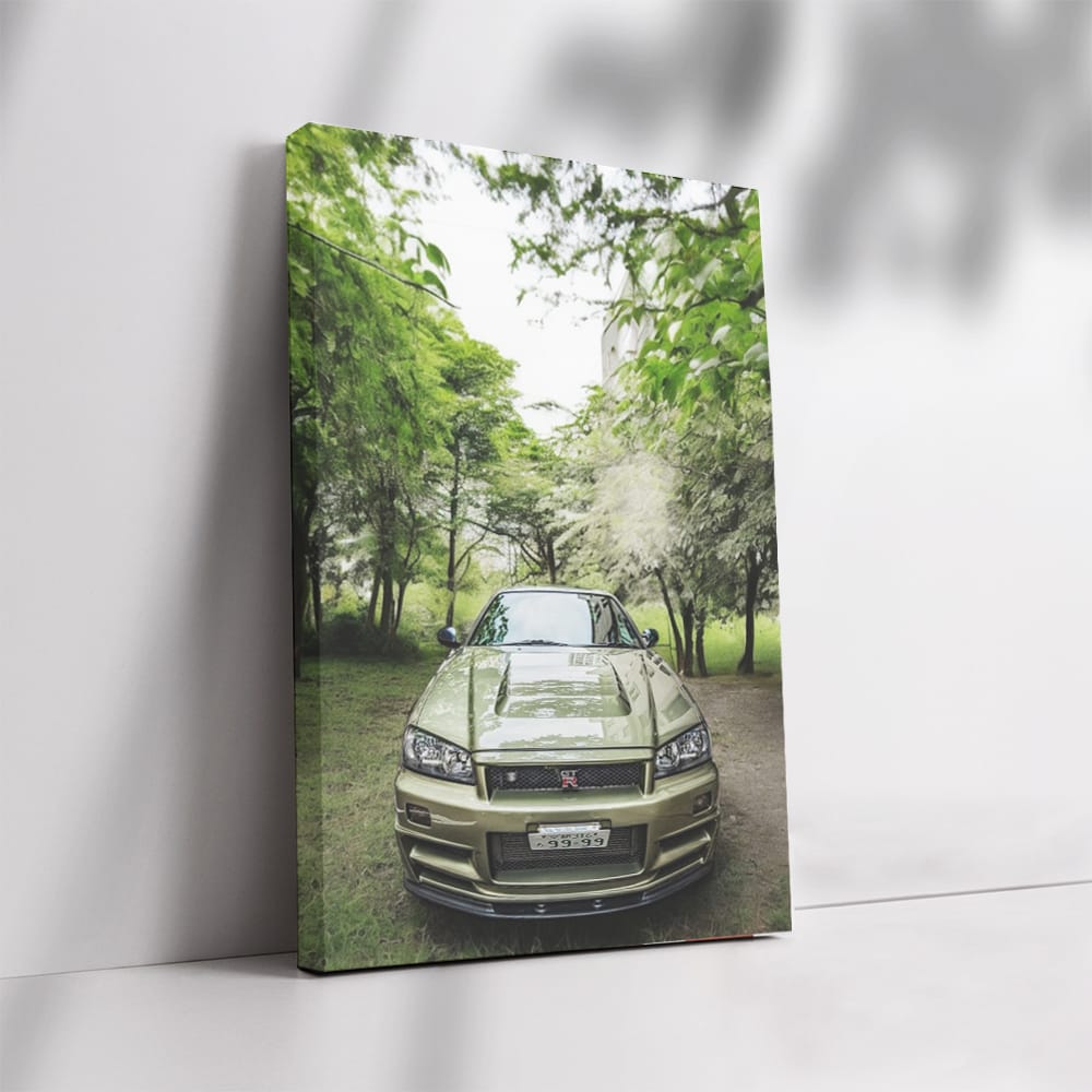 Nissan Skyline GT-R R34 in Nature - Iconic Performance Beast