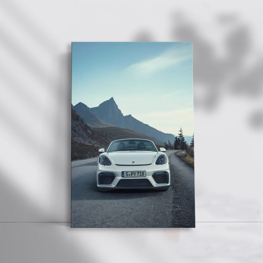 Porsche 718 Spyder with Mountain View - Thrill on Wheels