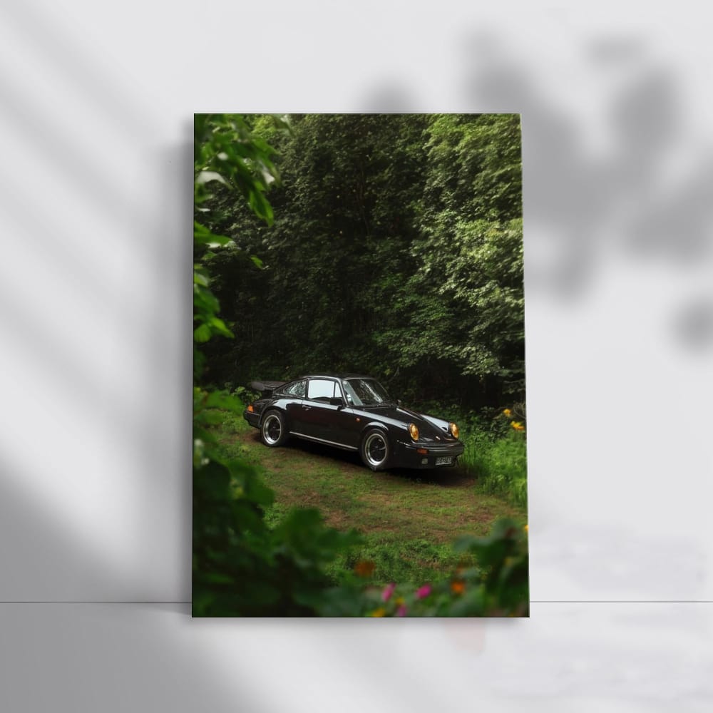 Classic Black 1987 Porsche 911 Carrera 3.2 in Forest - Timeless Elegance