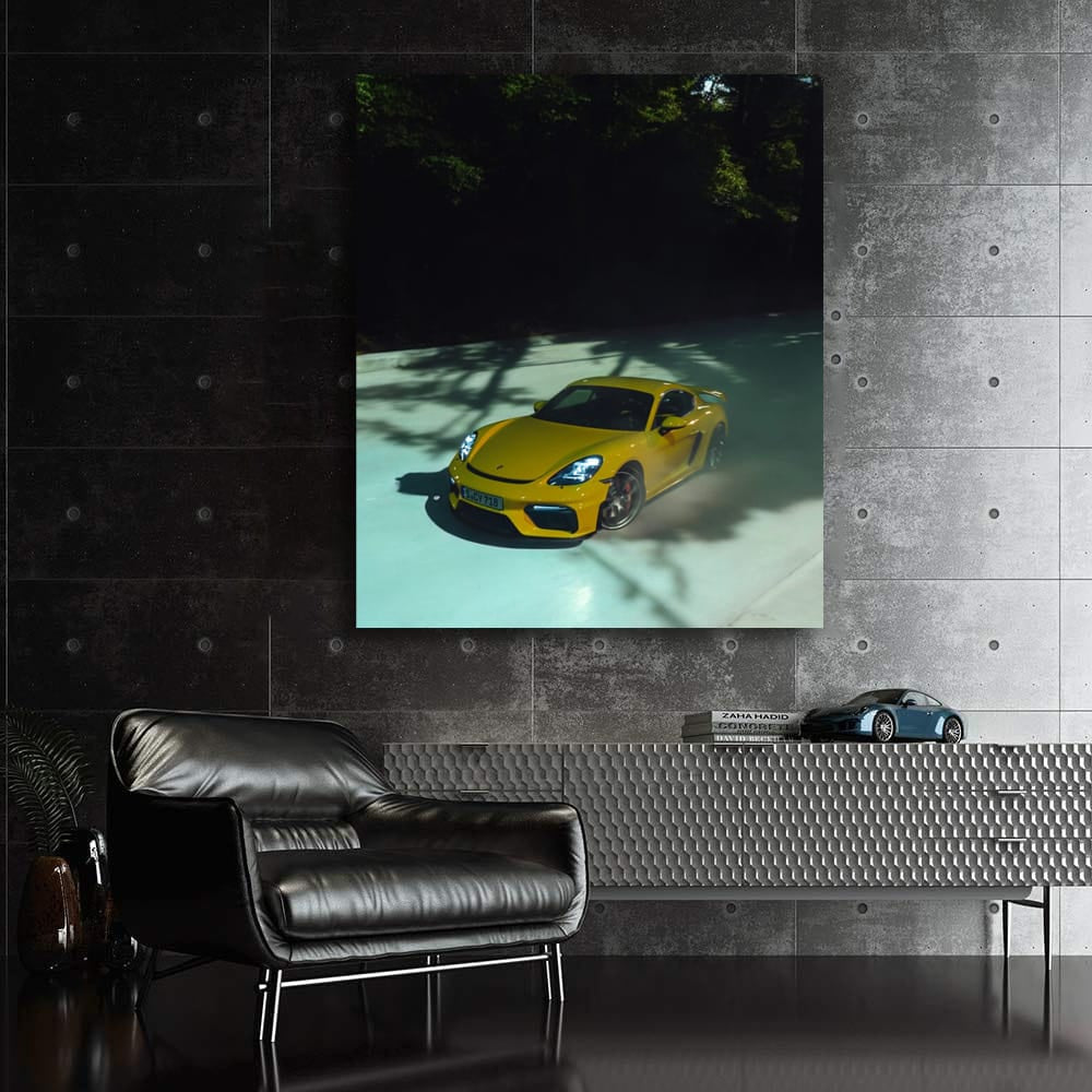 Porsche GT3 RS 911 - Embrace Wild Speed