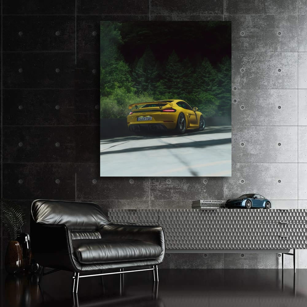 Porsche 911 GT3 RS in Nature - Speed Meets Elegance