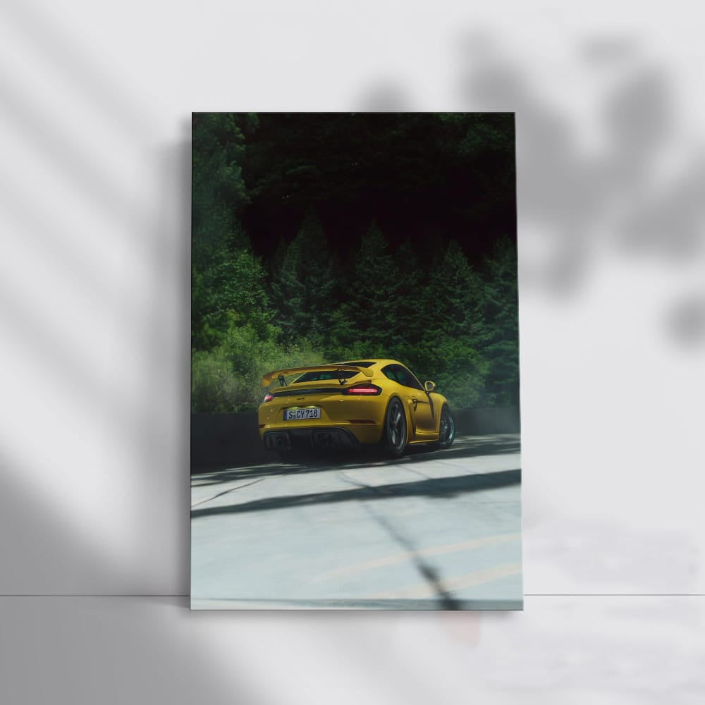 Porsche 911 GT3 RS in Nature - Speed Meets Elegance