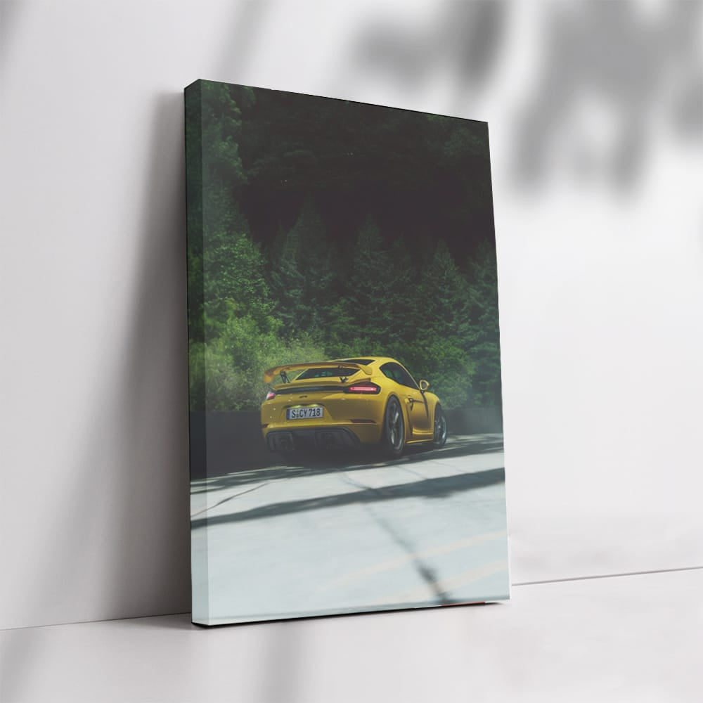 Porsche 911 GT3 RS in Nature - Speed Meets Elegance