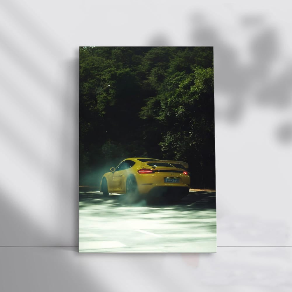 Porsche 911 GT3 RS in Nature - Performance Meets Precision