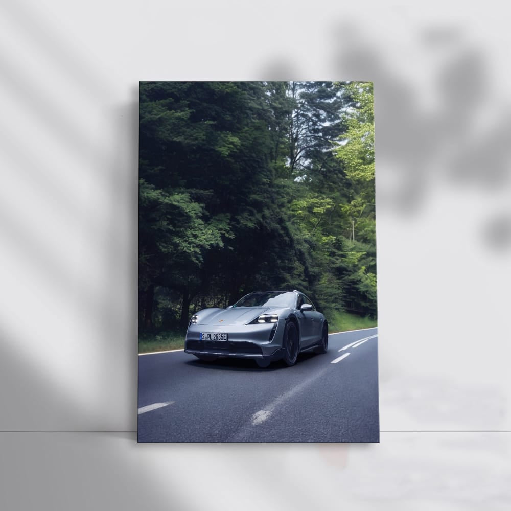 Black Porsche 911 Speedster in Nature - Sleek and Powerful