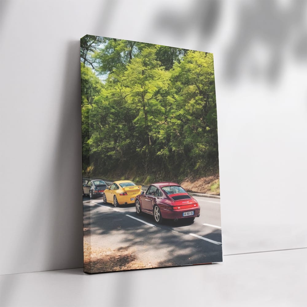 Porsche Car Gathering in Nature - Performance and Elegance