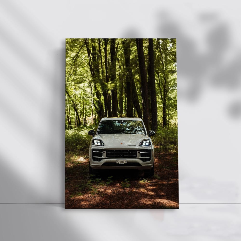 Porsche Cayenne S in Wilderness - Adventure Awaits