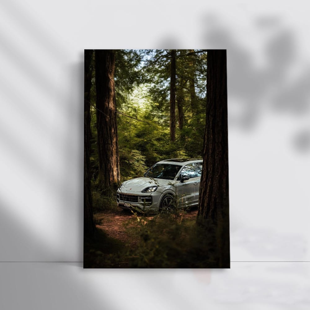 Porsche Cayenne S in Woodland - Adventurous Spirit