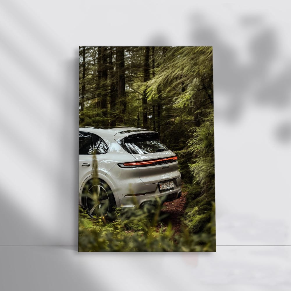 Porsche Cayenne S in Lush Forest - Sleek and Powerful SUV