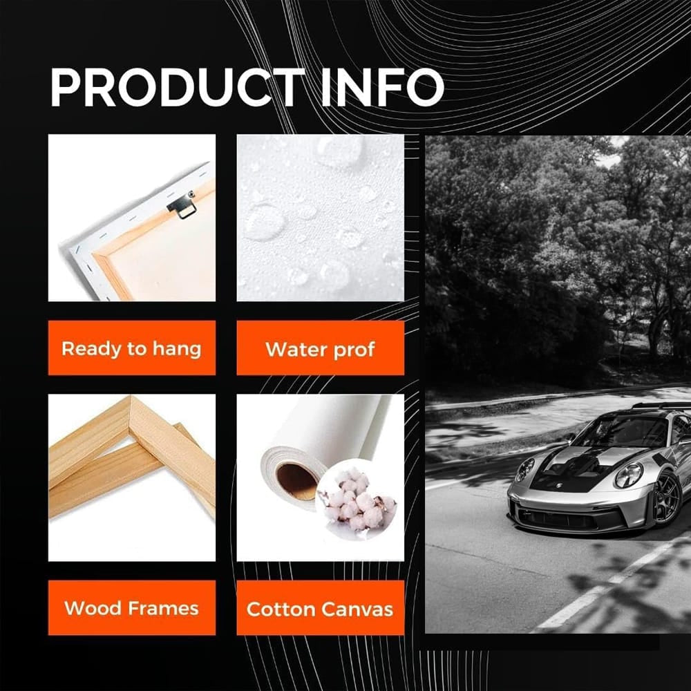 Porsche GT3 RS Black & White - 1: Pure Performance Power