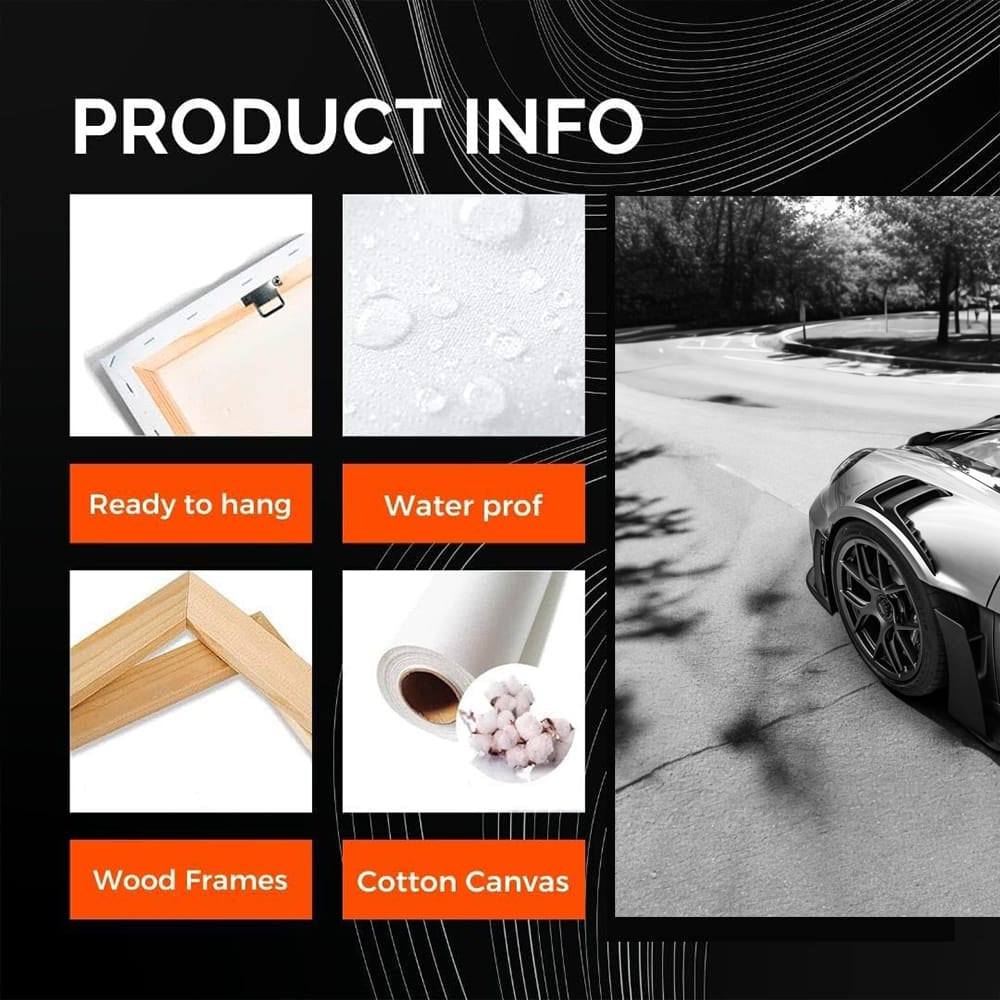 Porsche GT3 RS Black & White - Racing Elegance