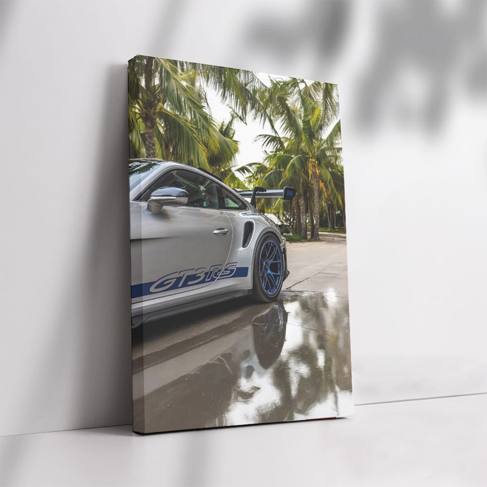 Porsche GT3 RS by Palm Trees - Ultimate Sports Machine