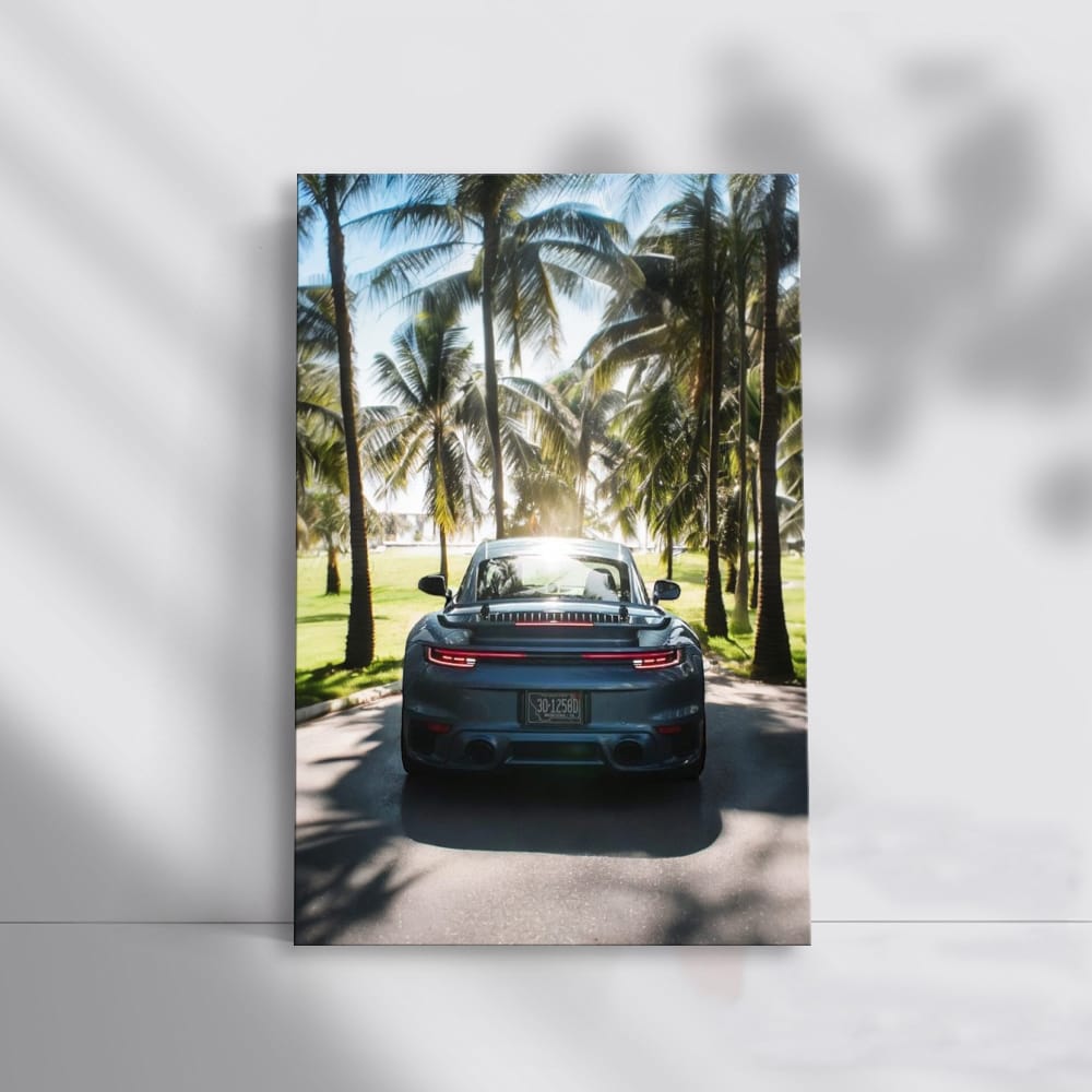 Porsche Gemini Blue Metallic Under Palms - Sleek & Stylish