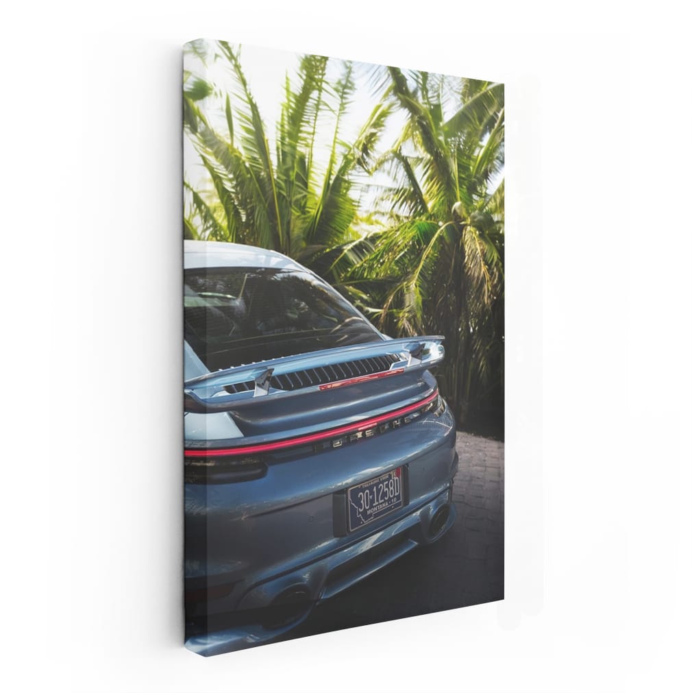 Porsche in Gemini Blue Metallic Under Palms - Timeless Elegance