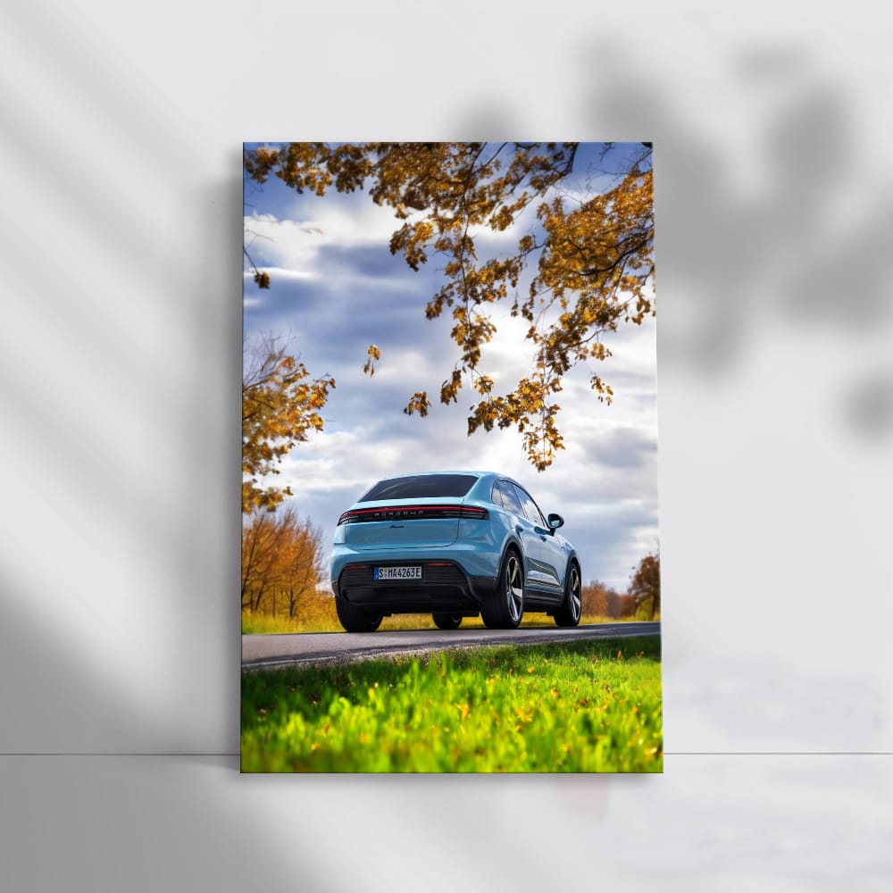 Porsche Macan in Blue Amidst Nature - Dynamic Elegance