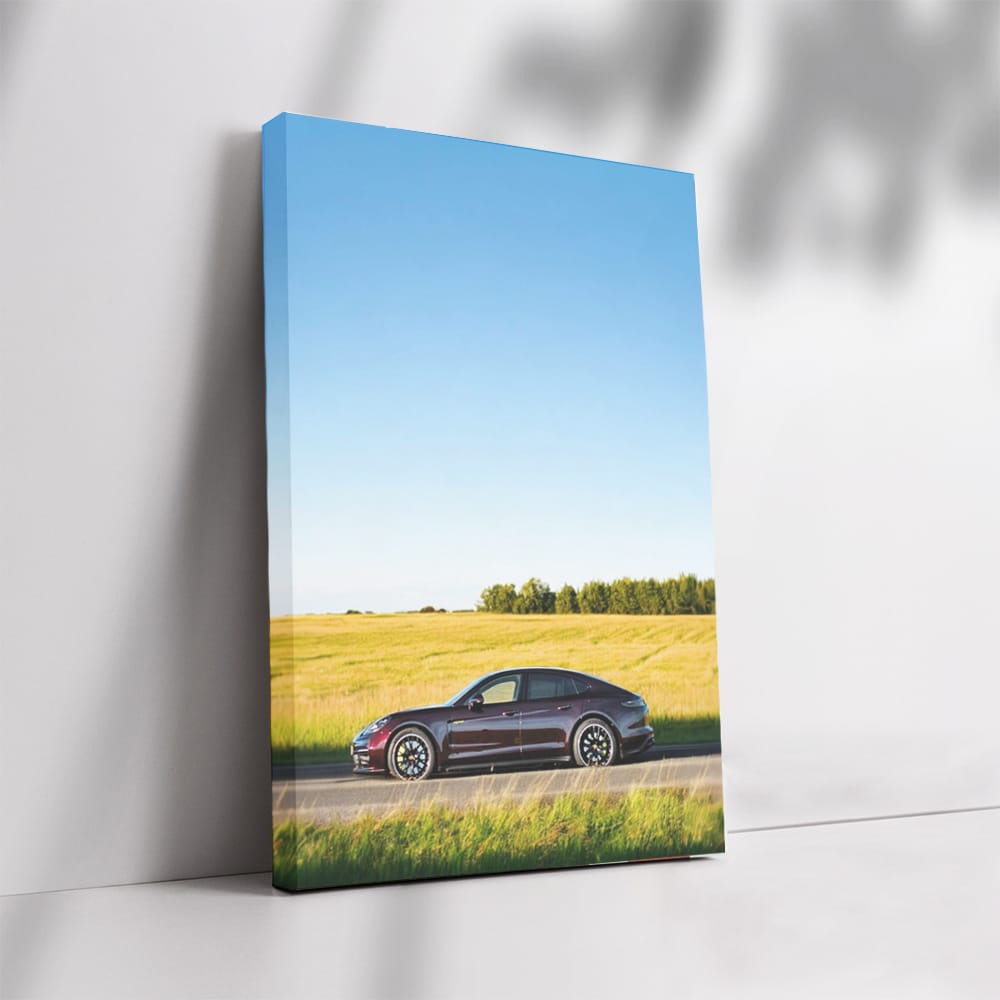 Porsche Panamera in Scenic Field - Elegance Unleashed