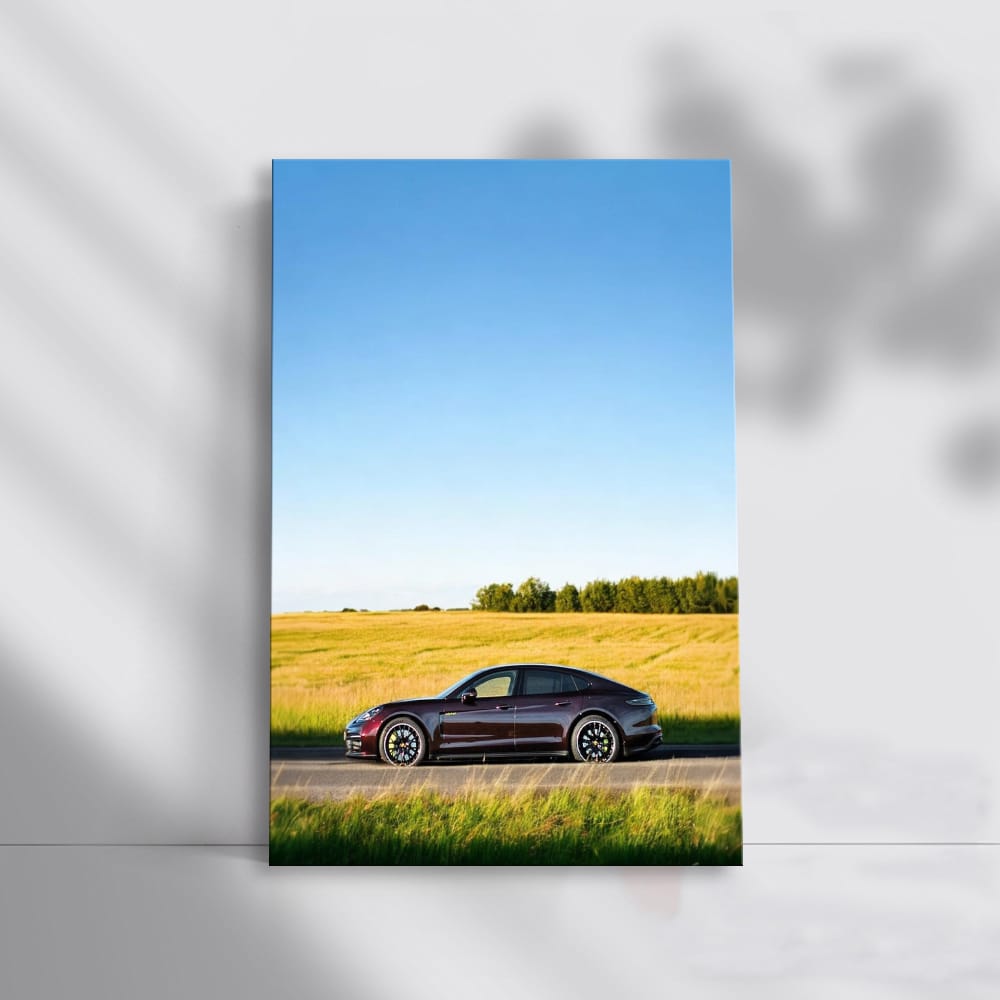 Porsche Panamera in Scenic Field - Elegance Unleashed