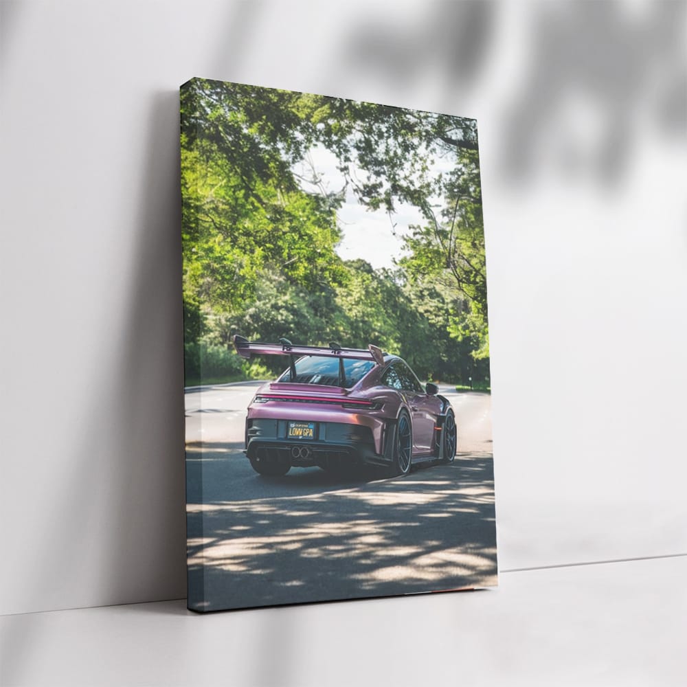 Porsche 992 GT3 RS Shimmering Rose in Park - Ultimate Thrill