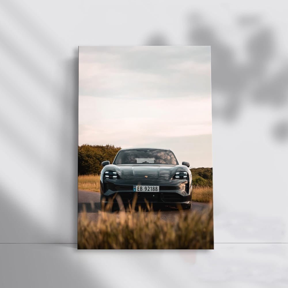 Porsche Taycan RWD in Field: Elegance Meets Performance