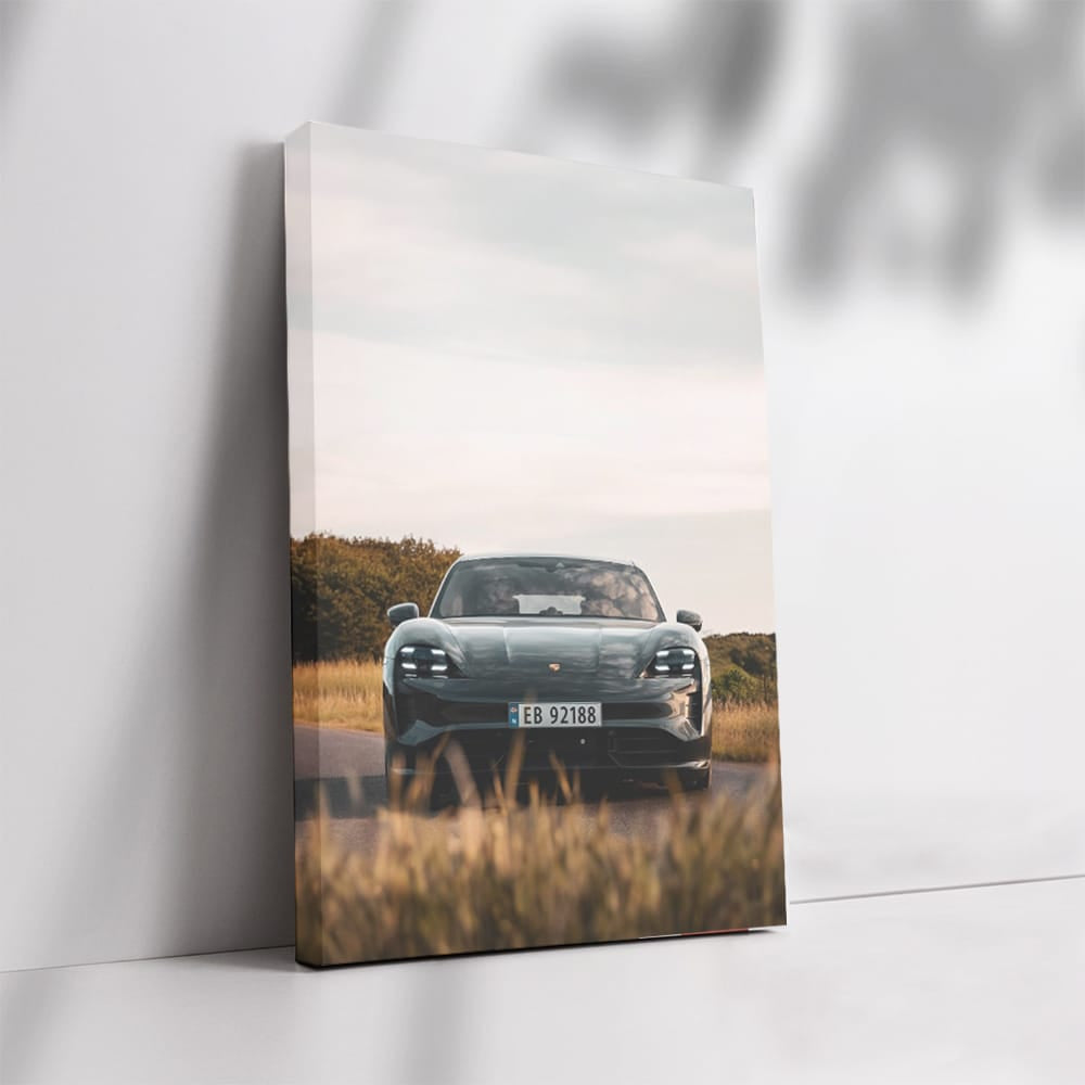 Porsche Taycan RWD in Field: Elegance Meets Performance