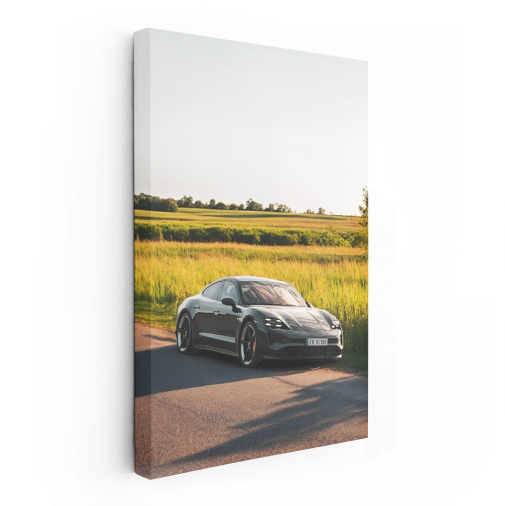 Porsche Taycan RWD in Nature - Electrifying Elegance