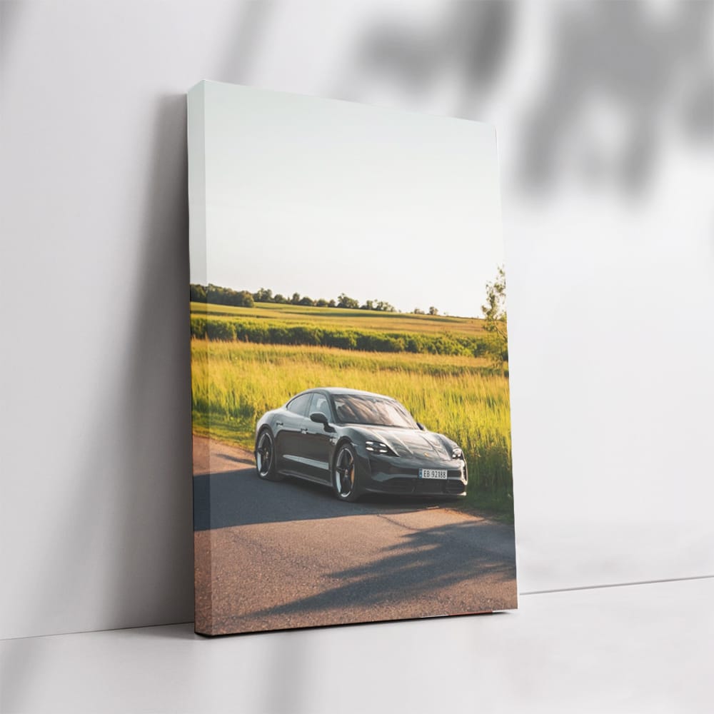 Porsche Taycan RWD in Nature - Electrifying Elegance