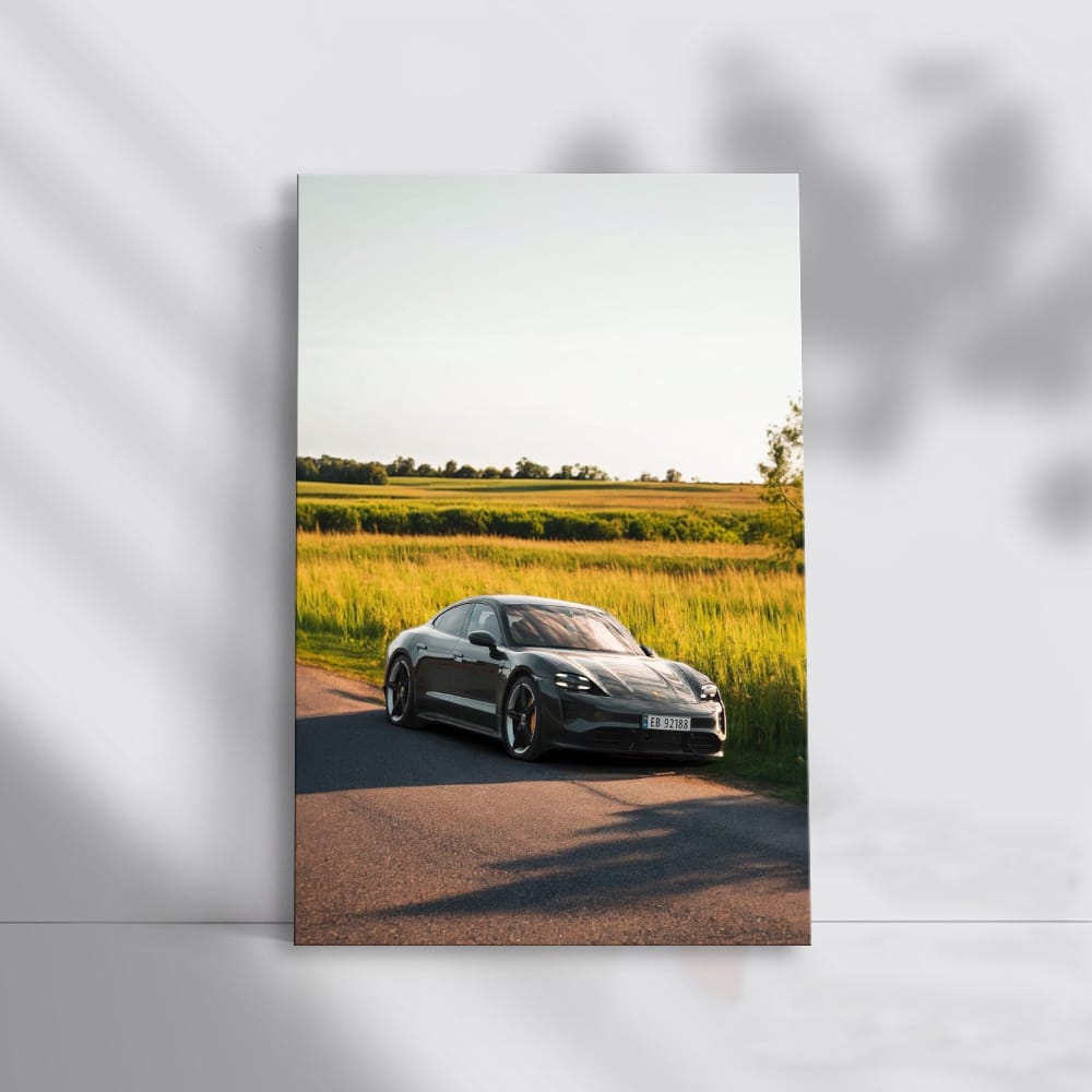 Porsche Taycan RWD in Nature - Electrifying Elegance