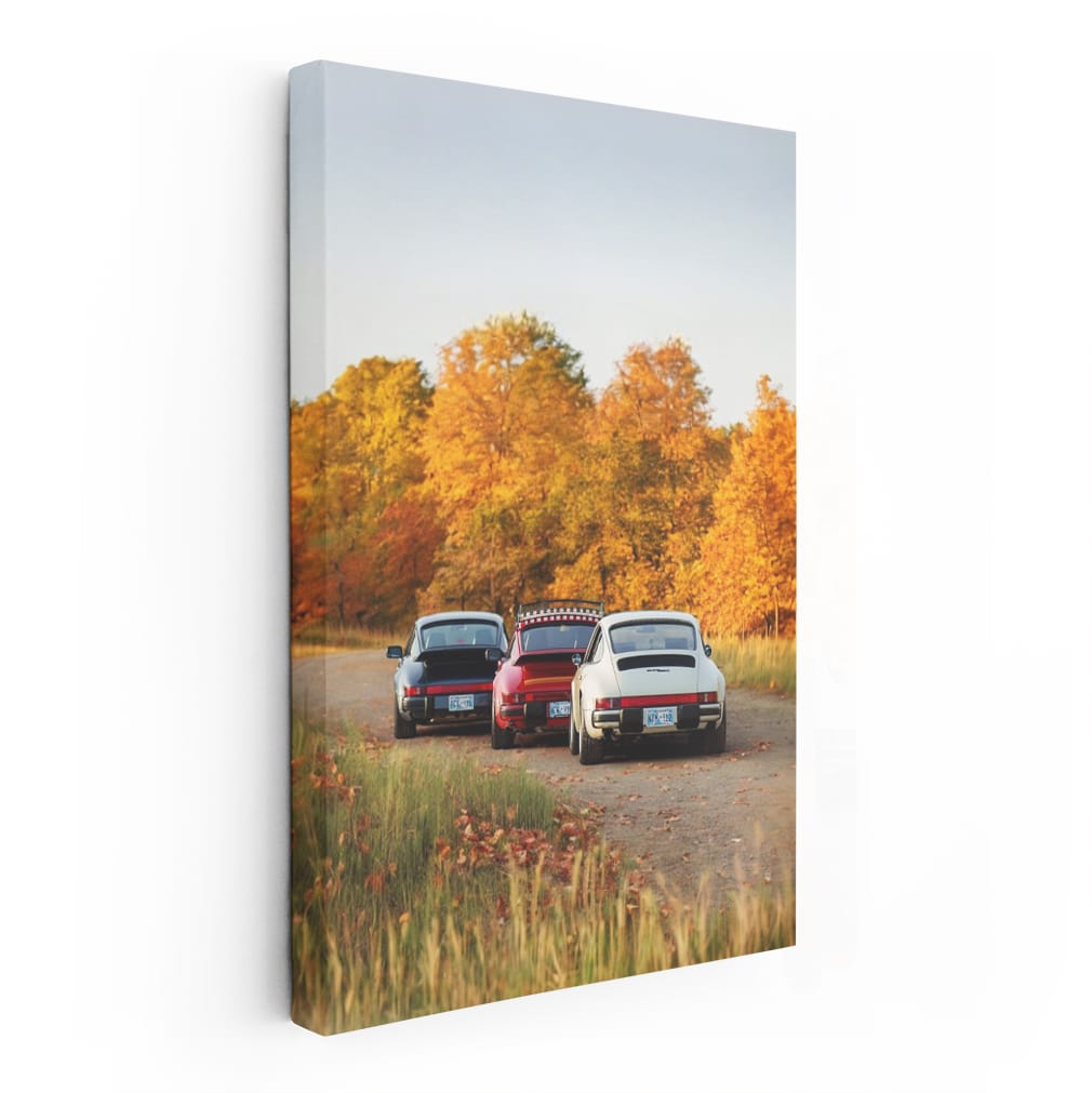 Classic Porsche Cars Amidst Autumn Foliage - Timeless Elegance