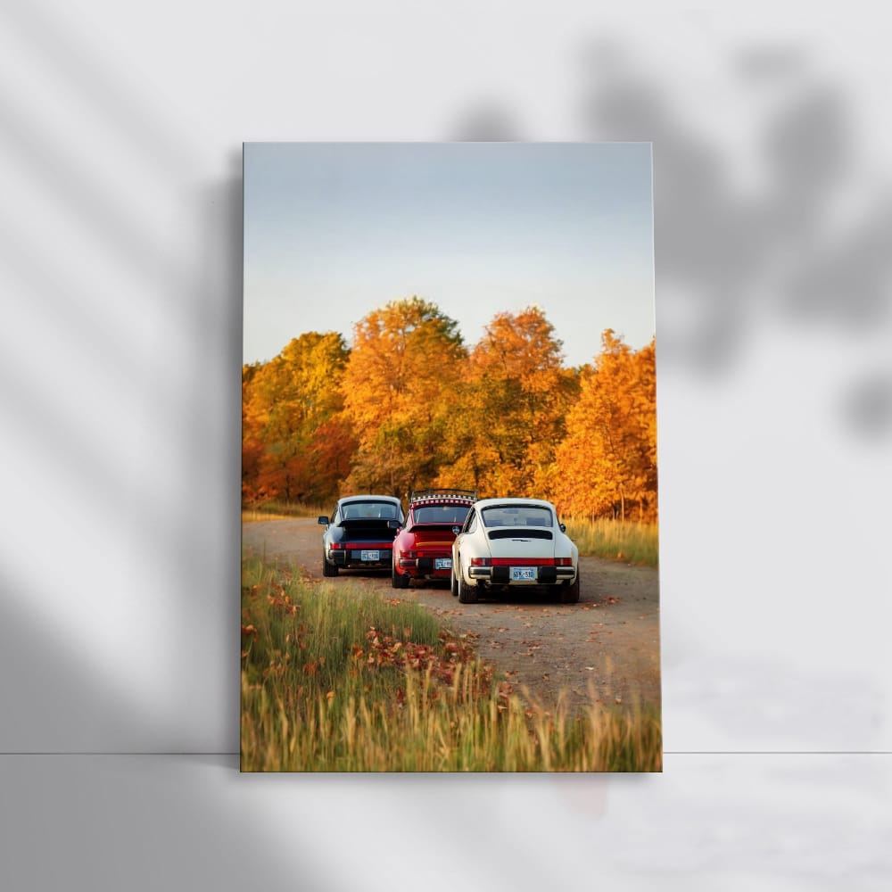 Classic Porsche Cars Amidst Autumn Foliage - Timeless Elegance