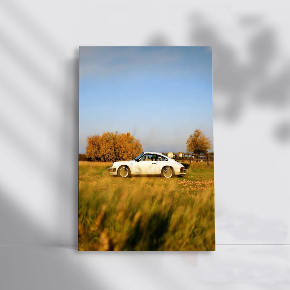 Vintage Porsche Classics Amidst Autumn Leaves - Timeless Elegance
