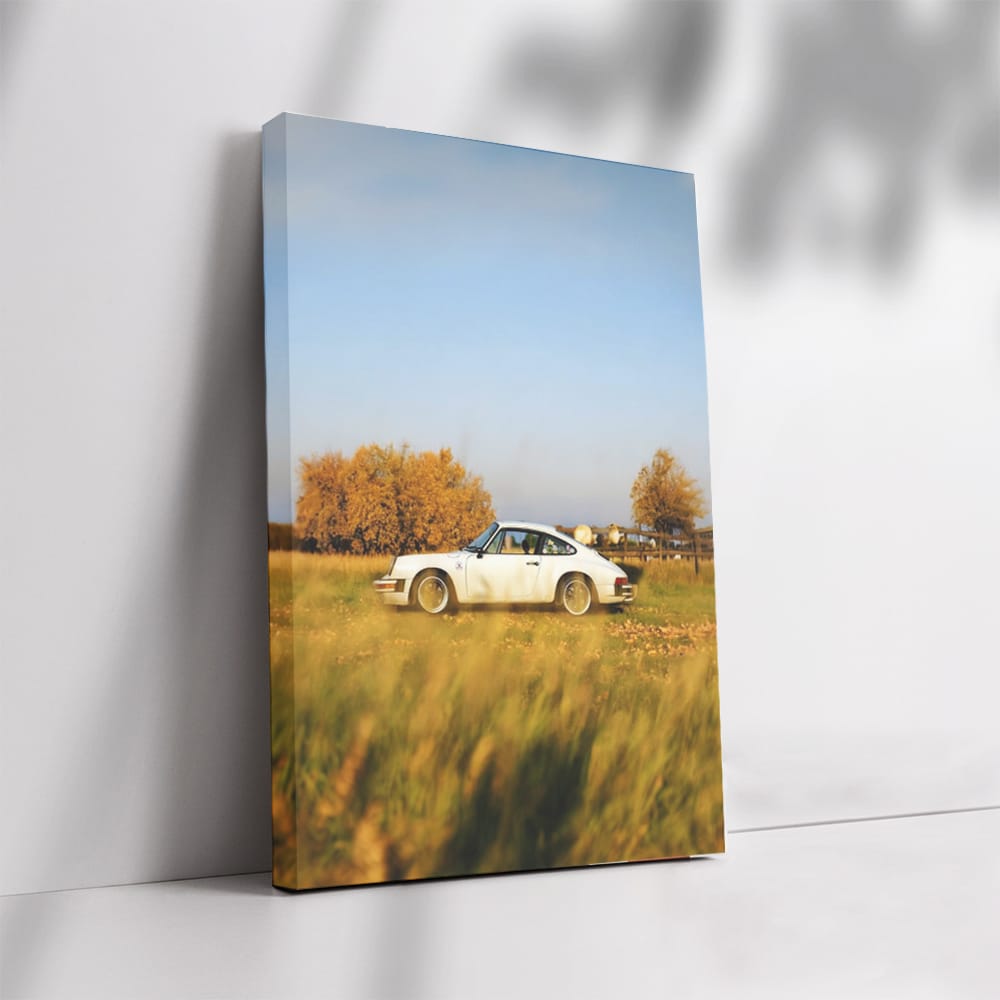Vintage Porsche Classics Amidst Autumn Leaves - Timeless Elegance