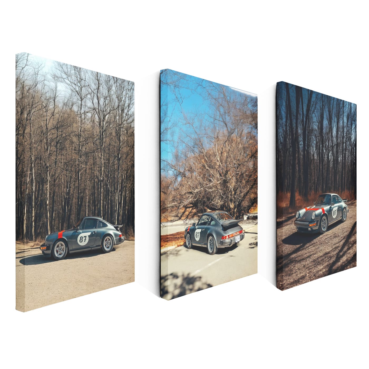 Porsche Old Grey In Forest Set of 3