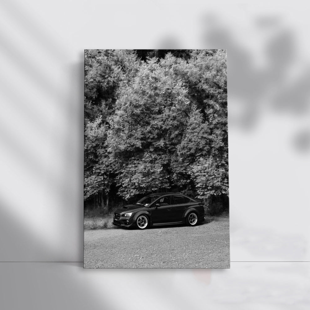 Subaru WRX Black & White in Nature - Rugged Performance
